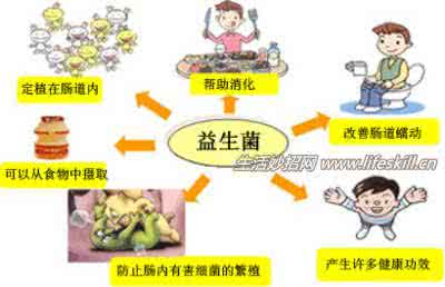 益生菌 益生菌和益菌生有何不同?