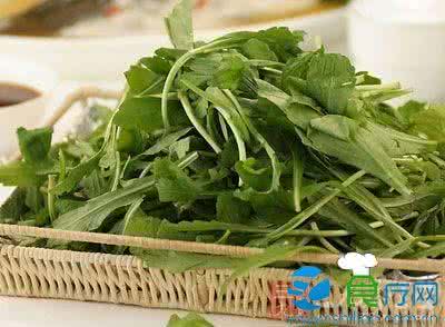 什么样的野菜能吃 野菜有哪些 这些野菜千万别吃