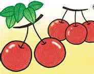 儿童游乐园简笔画大全 【儿童乐园】植物简笔画图片大全