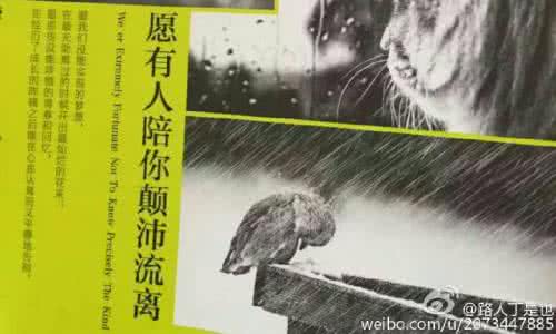有一天我去世了读后感 有一天,我死了