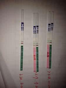 排卵试纸测早孕原理 市面上的排卵试纸测早孕的原理