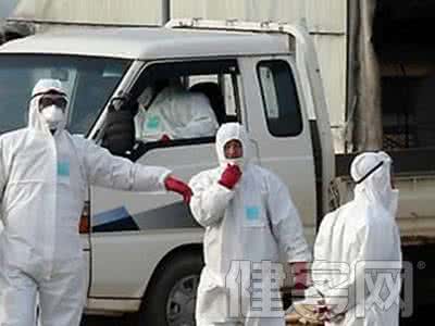 禽流感 荷兰南部暴发禽流感 不确定是否为H5N8型