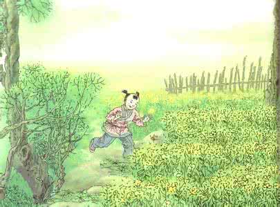 飞入菜花无处寻 飞入菜花无处寻 “儿童急走追黄蝶，飞入菜花无处寻。”你能对诗中所描述的现象作出科学的解释吗？