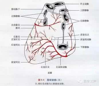 心梗定位 教你快速识别心梗定位 ！