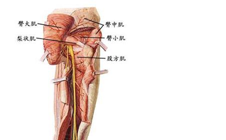 产后风 梁氏九大秘方----驱风丹(产后风、肩周炎、坐骨神经痛、腰肌劳损等)
