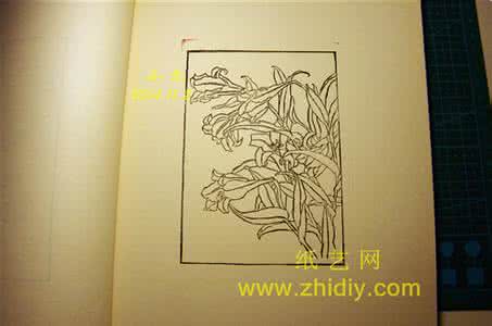 橡皮章线稿 橡皮章线稿百合花教程