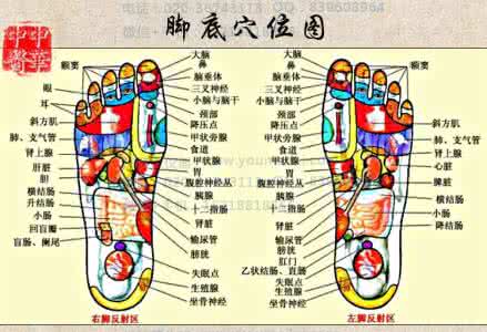 人体脏腑的气血运动图 人体脏腑的气血运动图 易疲劳？艾灸调脏腑、补气血。特别是男性