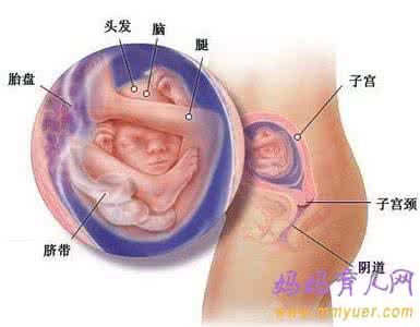 怀孕五个月终止妊娠 怀孕五个月终止妊娠 怀孕在哪些情况下必须要终止妊娠