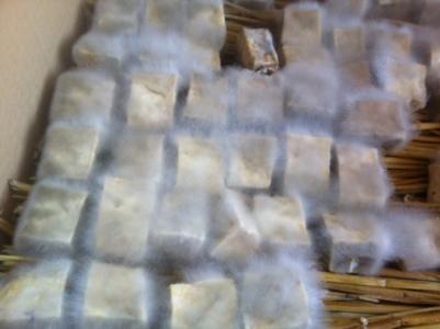 自制豆腐乳 【图】自制豆腐乳