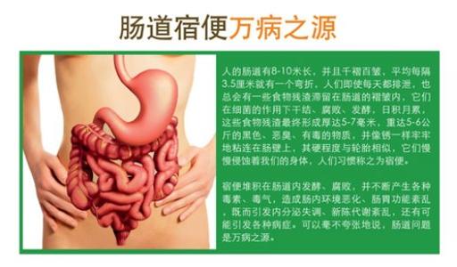 排了宿便人瘦了不少 一夜排除2斤宿便:瘦到90斤!据说这是排毒最好的方法