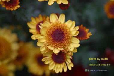 吃什么可以减少皱纹 吃什么素食能减少皱纹