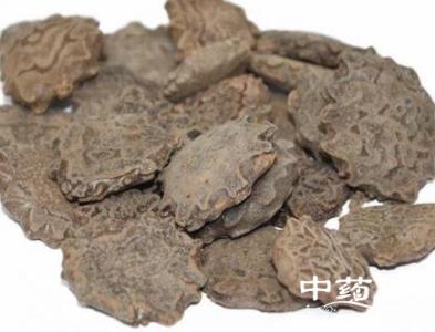 木鳖子的功效与作用 木鳖子的功效与作用 木鳖子药理作用