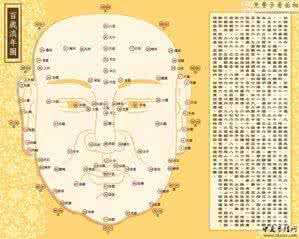 相面学 相面学 面相学_相面学