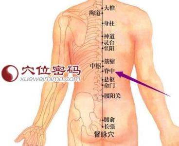 鱼腰穴的准确位置图_鱼腰穴的作用_穴位密码网手机版