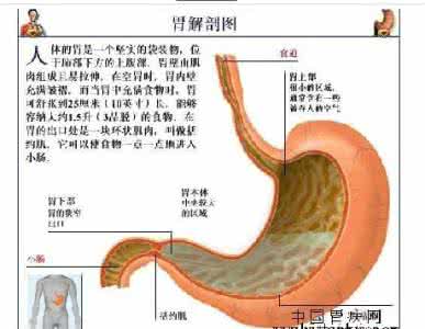 小茴香治胃病偏方 根治所有胃病