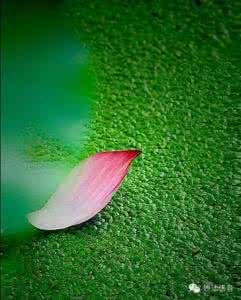 有缘相识无缘相守 相识是缘,相守是命