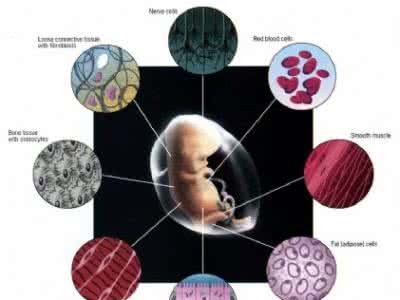 自私的基因 人类简史 大陆专家惊人研究：癌症是人类自私基因的孽种