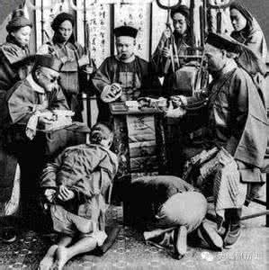 中国植物志图集 黑白图集 百年前的中国（2）