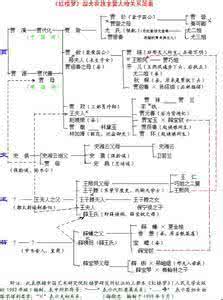 红楼梦宁国府和荣国府 红楼梦贾代化介绍 开启宁国府篇章的关键人物