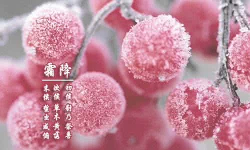 霜降的由来 霜降是什么时候？霜降吃什么养生？霜降由来简介