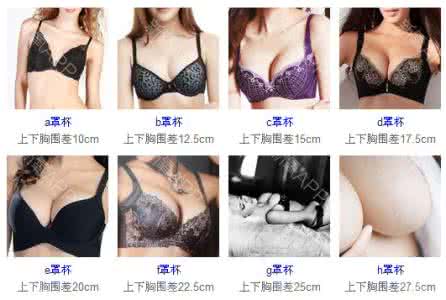 女性罩杯大小区分 女性要怎么区分文胸罩杯?
