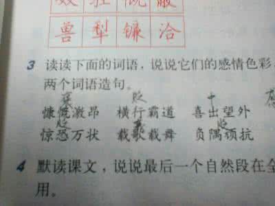 尽情欢乐 尽情欢乐什么意思?