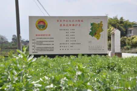 基本农田保护面积 基本农田保护面积 四川省基本农田保护面积表