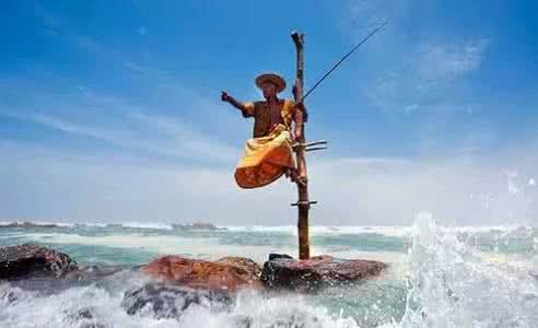 听听大自然的声音 限量免费活动丨带你走，去斯里兰卡听听大自然的声音