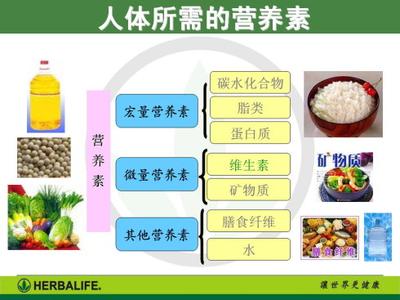 营养素多少钱 人体需要的营养素