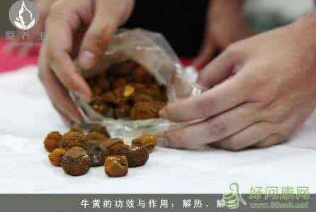 人工牛黄的功效与作用 牛黄的作用 牛黄的功效与作用