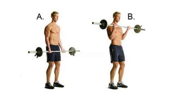 杠铃弯举和哑铃弯举 杠铃弯举 哑铃锻炼方法图解——收藏版
