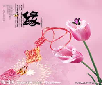 朋友相遇是缘份的句子 相遇是一种美丽的缘份,是一份浪漫的邂逅