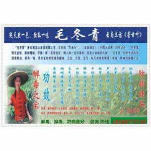 毛冬青片价格 毛冬青片价格 毛冬青价格介绍