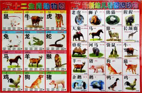 幼儿识字早教视频 早教 幼儿识字 认字 视频教程 识字不用教5