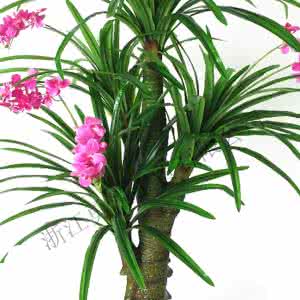 兰花香味的香水 兰花香味的香水 对人体最有益的十种香水香味是什么