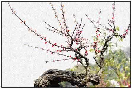 接受美学 接受美学 《从艺术作品看接受美学》