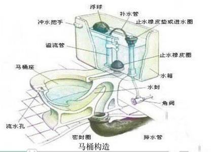 坐式马桶结构图 坐式马桶结构图 坐式马桶堵了怎么办 坐式马桶结构图