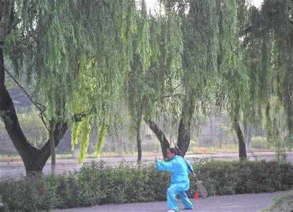 早雾圣奈 寒露晨练要避早雾