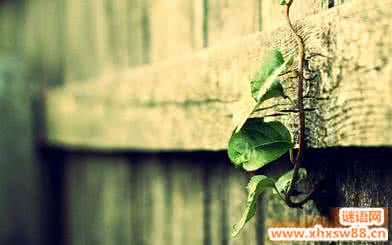 爱情是美好天堂 爱情是美好的,也是最伤人的