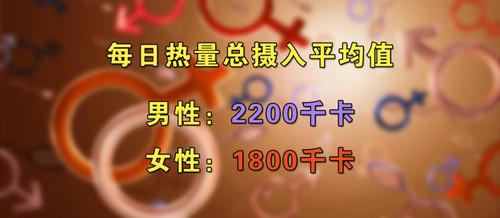 养生堂烹饪烹出营养来 养生堂《营养是“搭”出来的