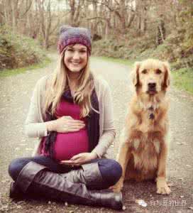 狗狗怀孕多久生宝宝 怀孕了?宝宝和狗狗我都要!