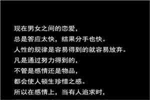 一条狗的使命经典语录 2015年的经典语录100条