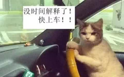 老司机求带网址 天天求老司机带你,知道啥叫老司机吗?