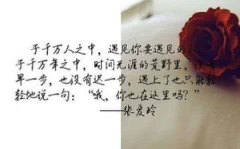 经典语录张小娴 经典语录张爱玲