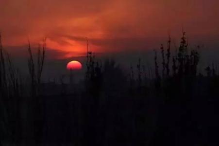 温暖心灵的情感美文 轮回的渡口【情感美文】