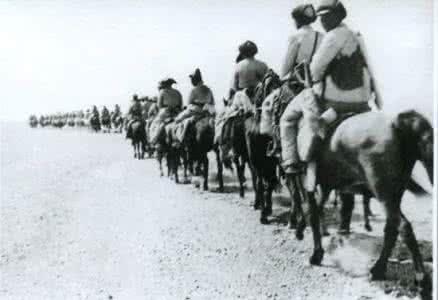 三毛从军记 牛师长 ?你可能知道最牛的一群师长，但未必知道最牛的一群营长是谁