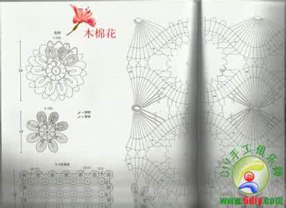 钩针钩衣花边多款图案 两款漂亮的钩针花边图解，配上桌布超级好看！