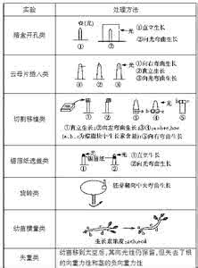 高中生物生长素 【生物】盘点实验技法，追踪生长素实验