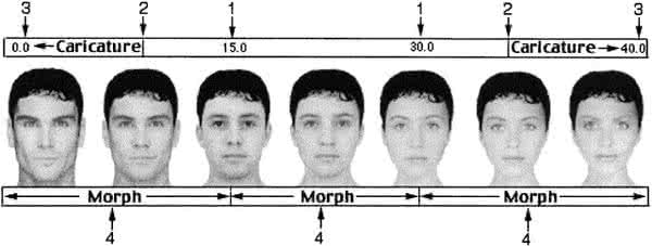 新垣平 新垣平 这是一个看脸的世界吗？_新垣平