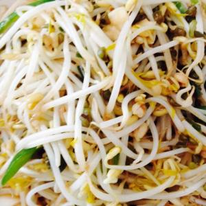 炝绿豆芽的做法 炝爆绿豆芽（做法附图）*